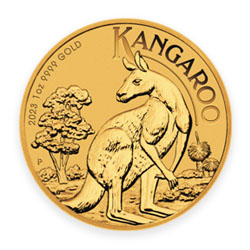 Product Image for 2023 1 oz Australian Gold Kangaroo Coin BU