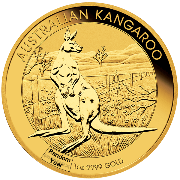 Front 1 oz Australian Gold Kangaroo Coin (Random Year)
